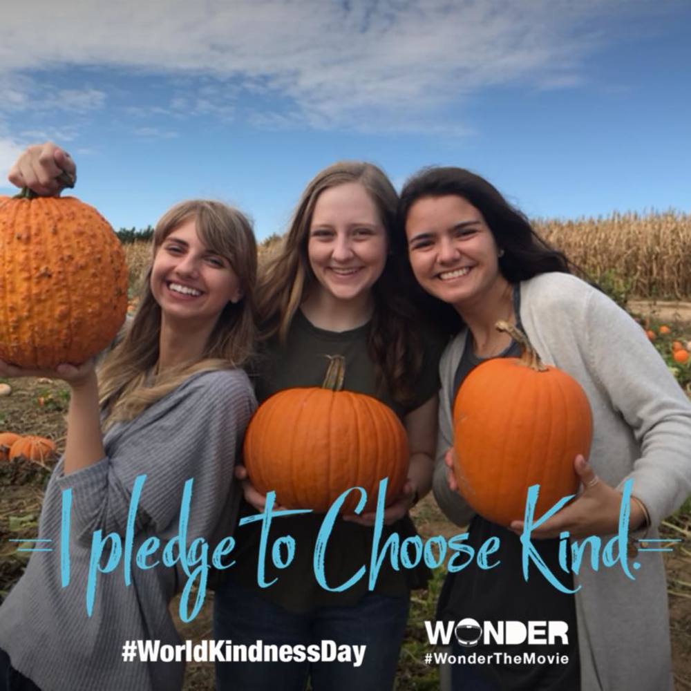 Meet your Posher, Caitlin